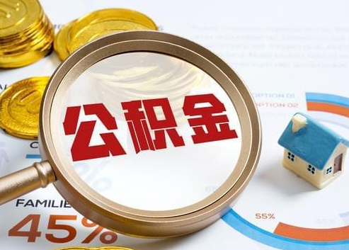 塔城2025年政策调整对个人影响综合解析‌